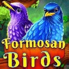 Formosan Birds